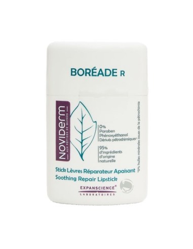 Boréade R Stick Labios 11ml