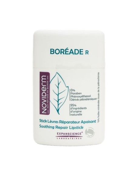 Boréade R Stick Labios 11ml