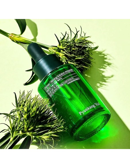 Pyunkang Yul Ultimate Calming Solution Ampoule 30ml