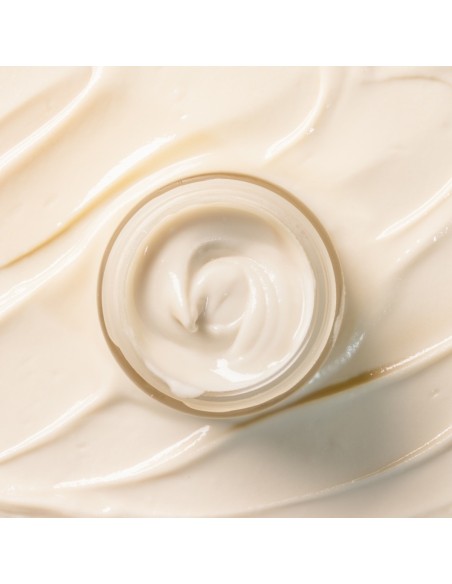 Desodorante Freshly Caring Microbiome Smart 40ml