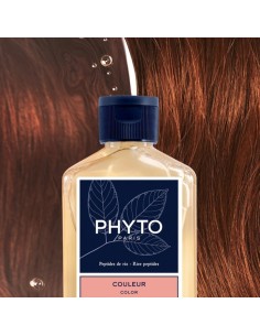 Phyto Color Champú Protector del Color 100ml 2