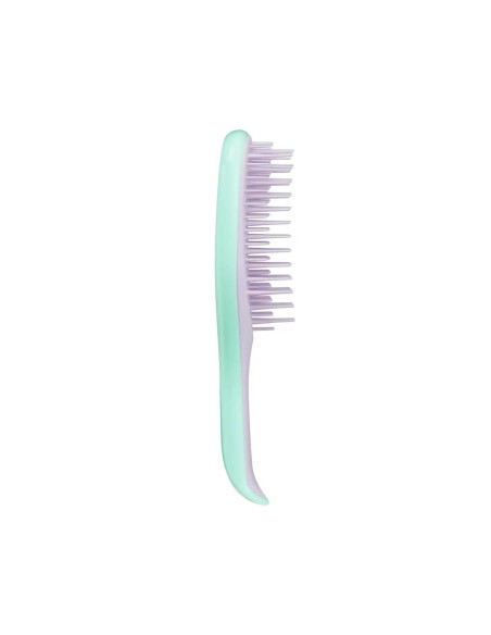 Tangle Tezer Mini Detangler Minte Mint / Lilac